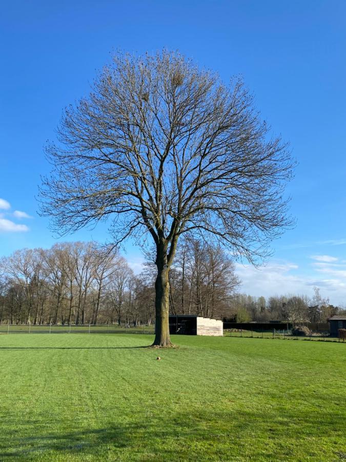 De Oude Es Bocholt Exterior foto